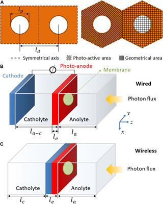 En Route to a Unified Model for Photoelectrochemical Reactor Optimization. II–Geometric Optimization of Perforated Photoelectrodes